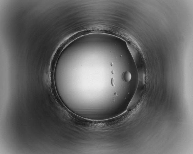 X0000096210784200801181429