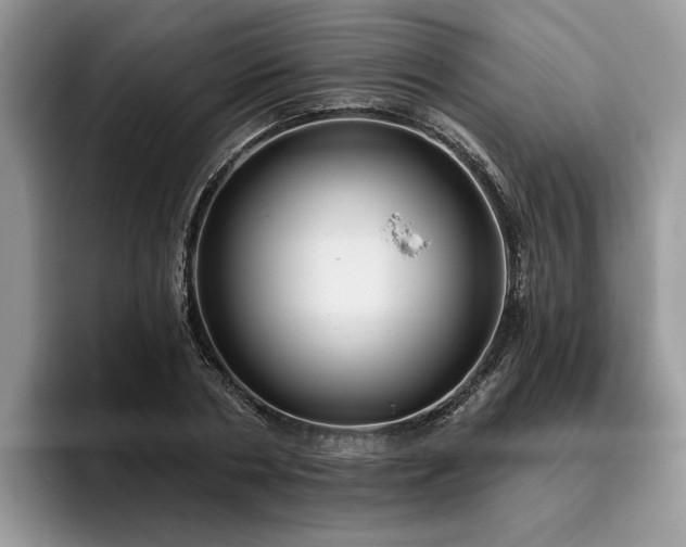 X0000096210786200801181429