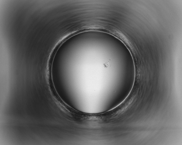 X0000096210787200801181429