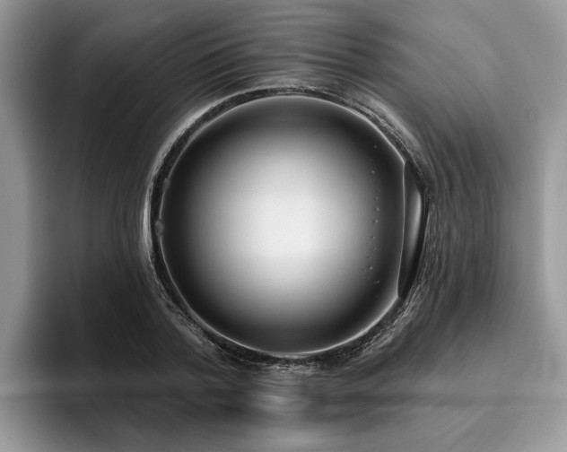 X0000096210788200801181429