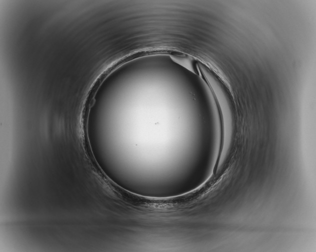 X0000096210789200801181429