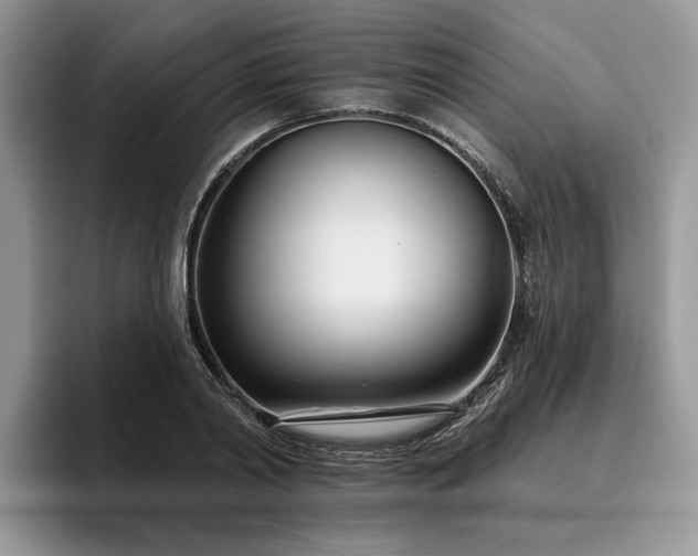 X0000096210790200801181429