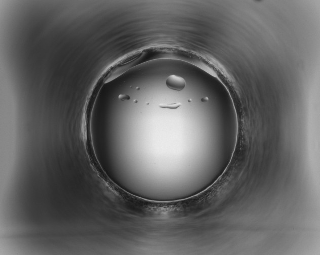 X0000096210791200801181429