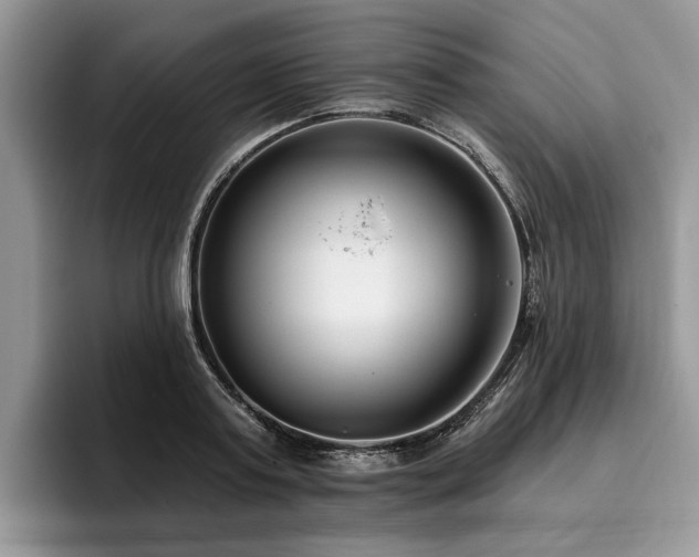X0000096210795200801181429