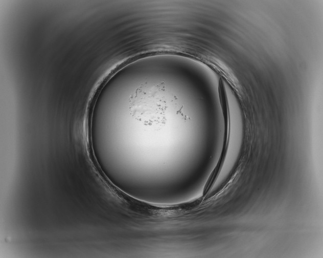 X0000096210796200801181429