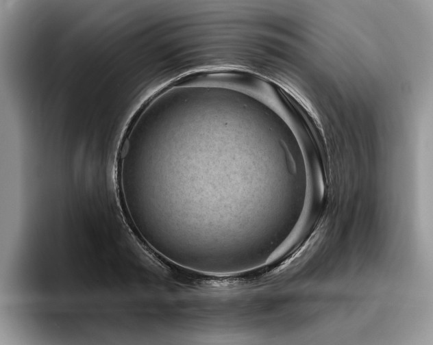 X0000096210797200801181429