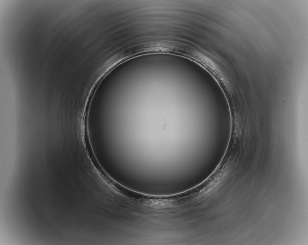 X0000096210802200801181429