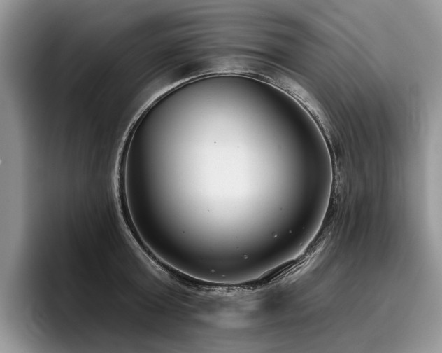 X0000096210803200801181429
