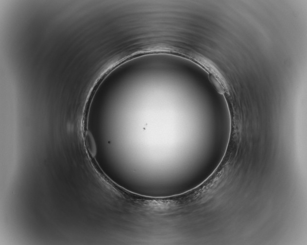 X0000096210805200801181429