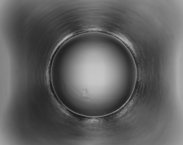 X0000096210806200801181429
