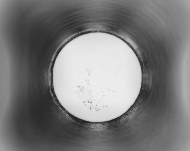 X0000096210807200801181429