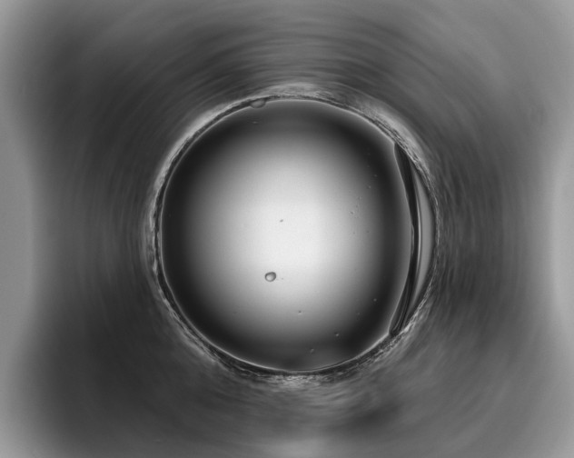 X0000096210808200801181429