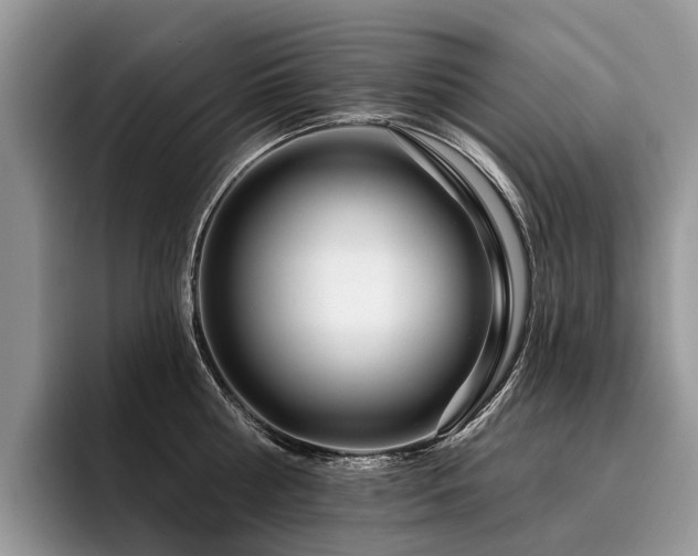 X0000096210810200801181429