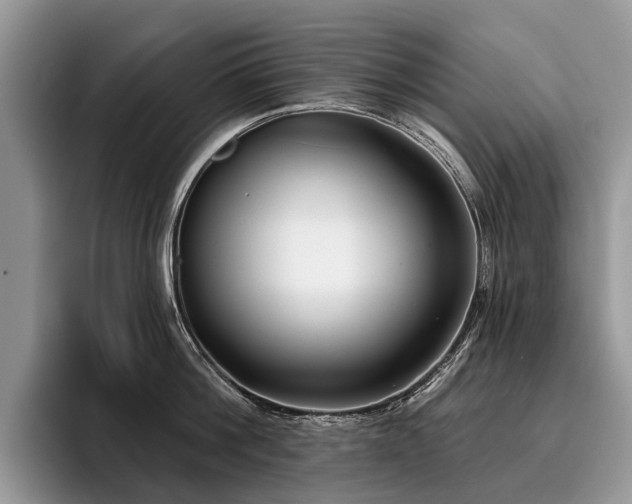 X0000096210812200801181429