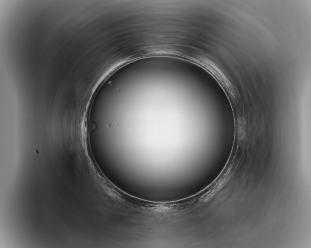 X0000096210814200801181429