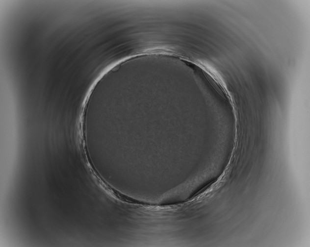 X0000096210816200801181429