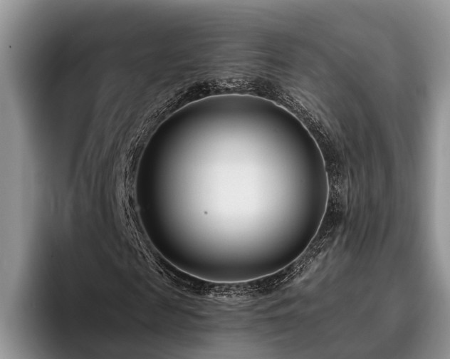 X0000096210817200801181428