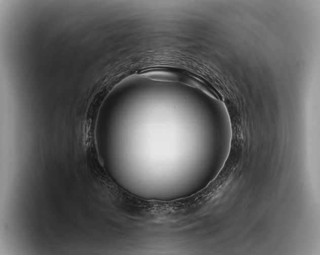 X0000096210818200801181428