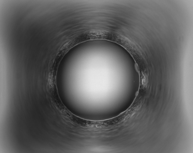 X0000096210819200801181428