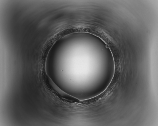 X0000096210821200801181428