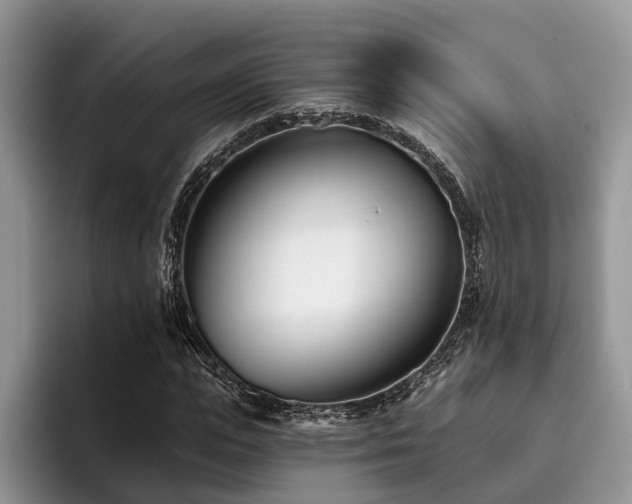 X0000096210823200801181428
