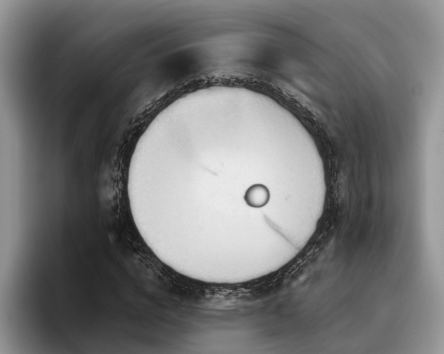 X0000096210824200801181428
