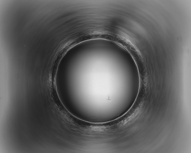 X0000096210825200801181428