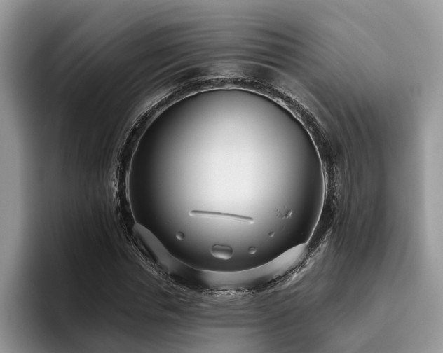 X0000096210826200801181428