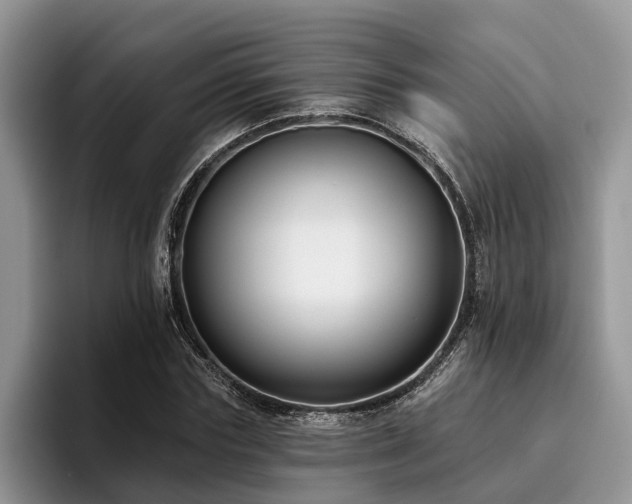 X0000096210827200801181428
