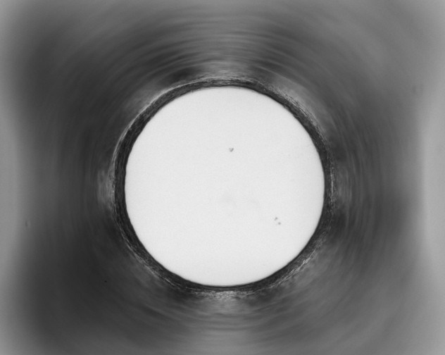 X0000096210828200801181428