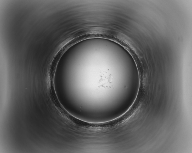X0000096210829200801181428