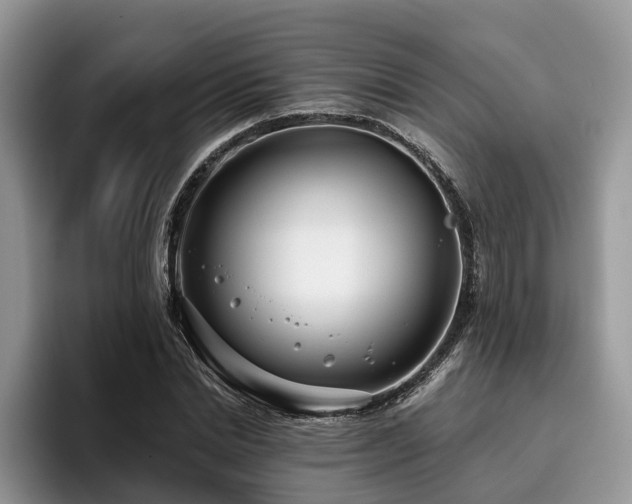 X0000096210830200801181428