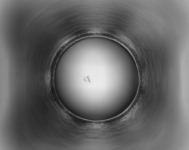 X0000096210831200801181428