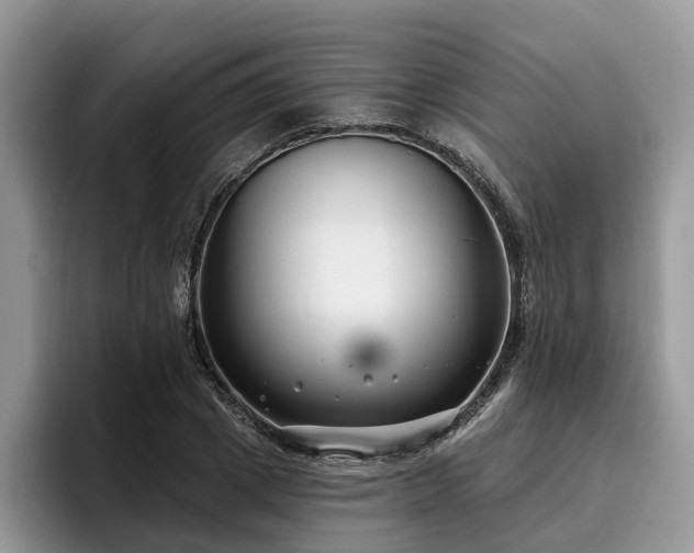 X0000096210833200801181428