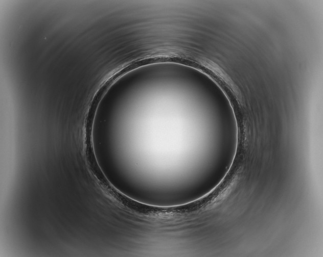 X0000096210834200801181428