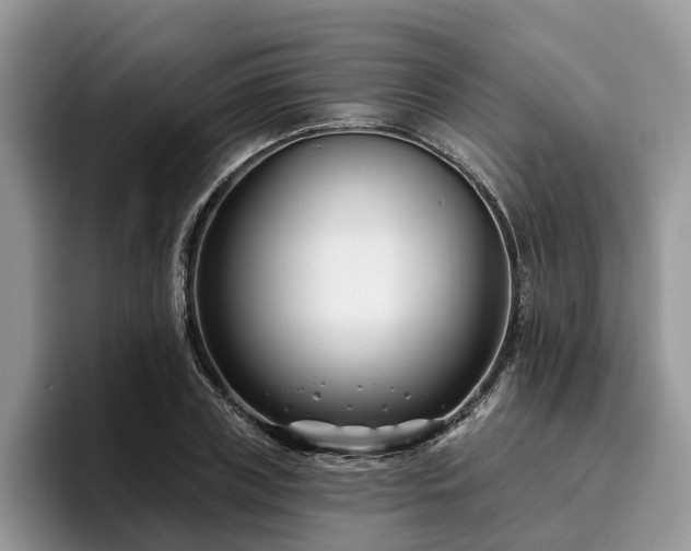 X0000096210835200801181428