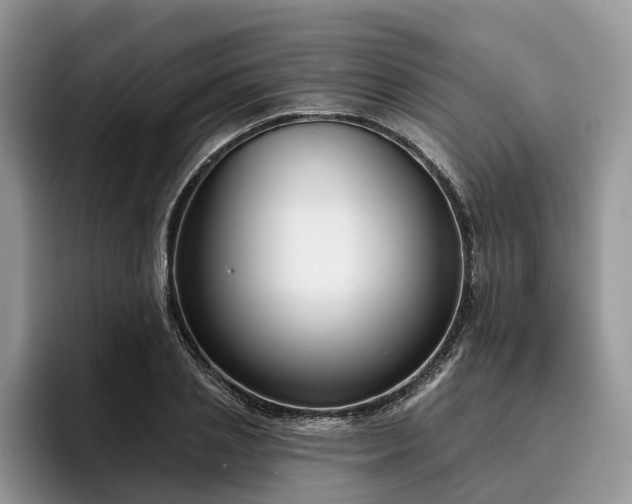 X0000096210837200801181429