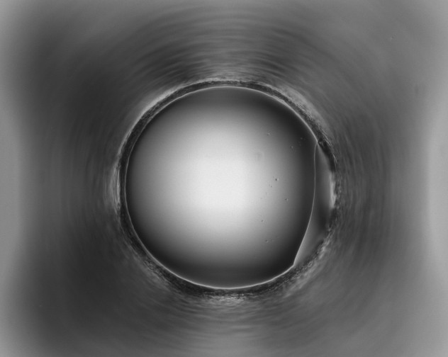 X0000096210838200801181429
