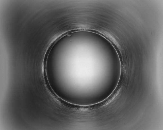 X0000096210839200801181429