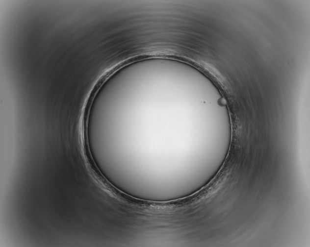 X0000096210840200801181429