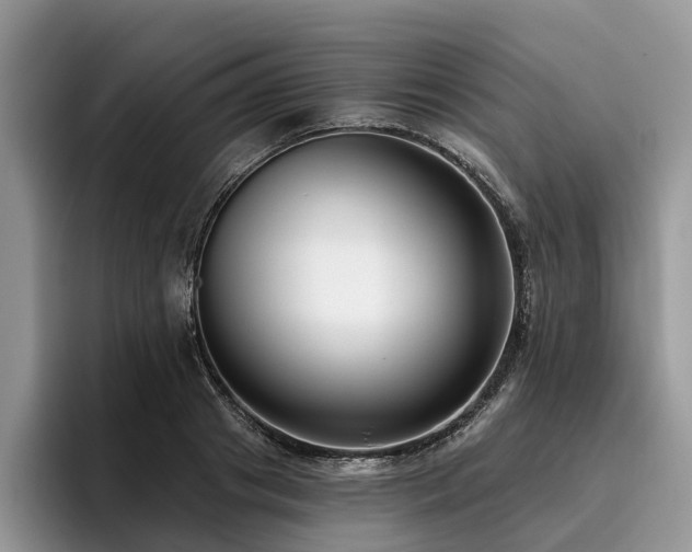 X0000096210841200801181429