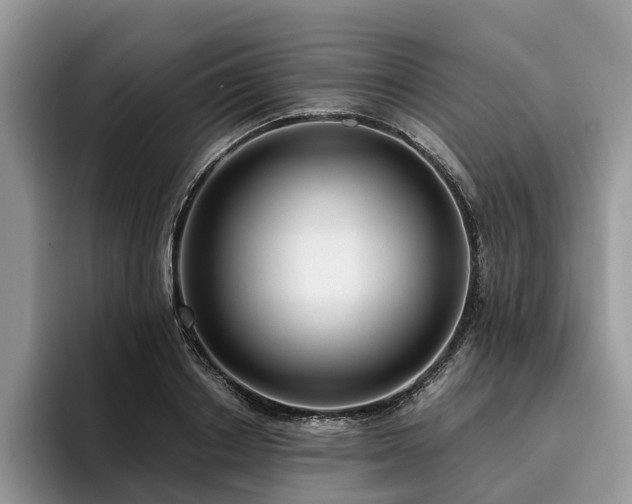 X0000096210842200801181429