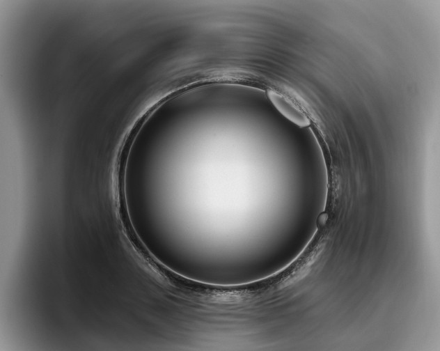 X0000096210843200801181429
