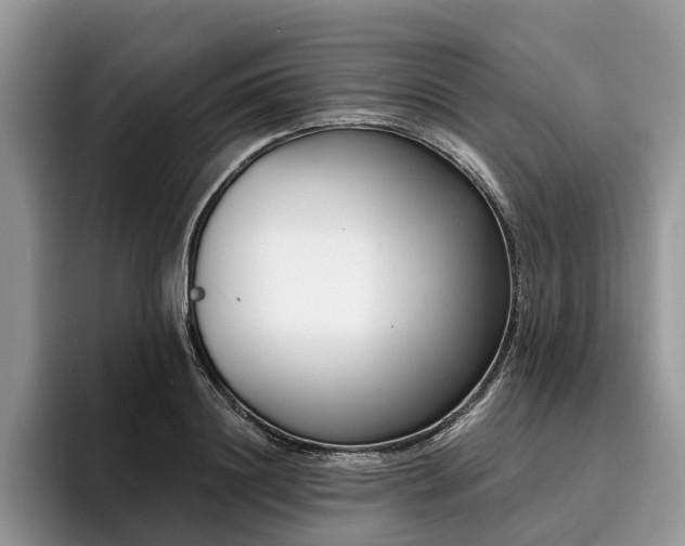 X0000096210844200801181429