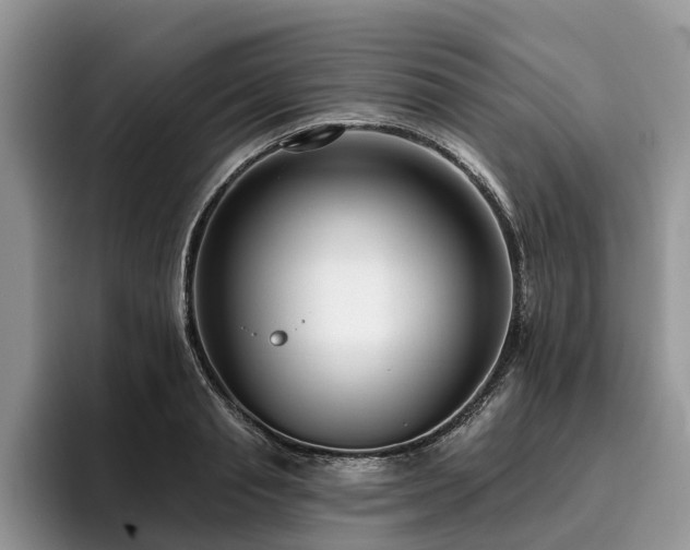 X0000096210845200801181429