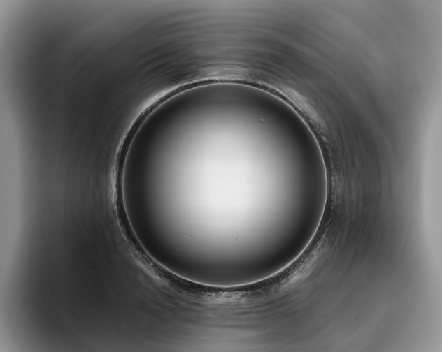 X0000096210846200801181429