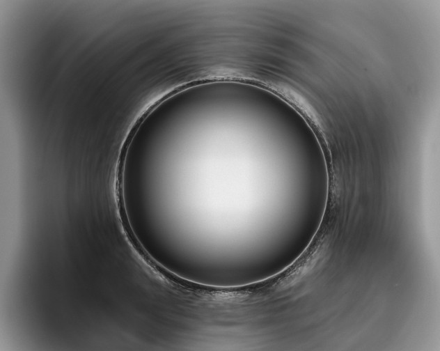 X0000096210847200801181429