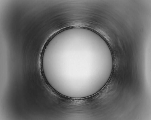 X0000096210848200801181429