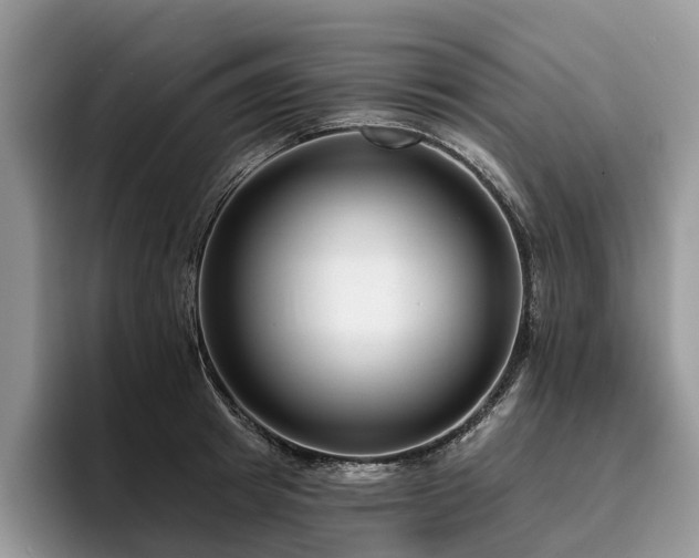 X0000096210849200801181429