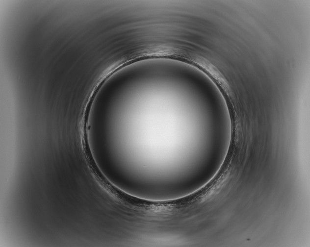 X0000096210850200801181429